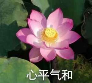 一束光的爱情故事