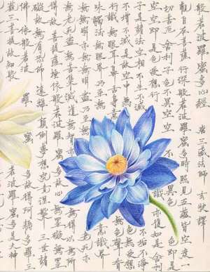 一切功德中，放生第一：放生的