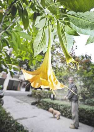 三入大悲寺 之二 “朝拜”（下